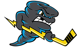 Knoxville Ice Bears vs. Quad City Storm