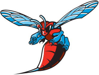 Howard Bison vs. Delaware State Hornets