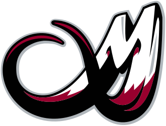Colorado Mammoth vs. Georgia Swarm